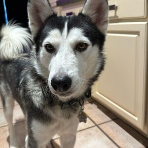 Meet your Posher, Byron